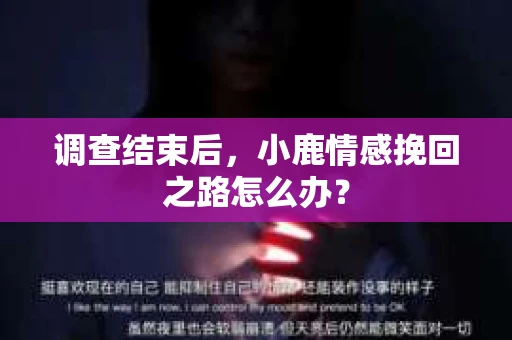 调查结束后，小鹿情感挽回之路怎么办？