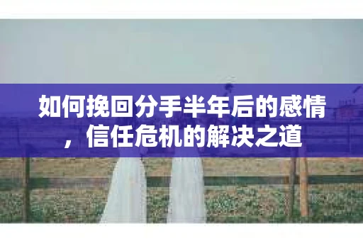 如何挽回分手半年后的感情，信任危机的解决之道