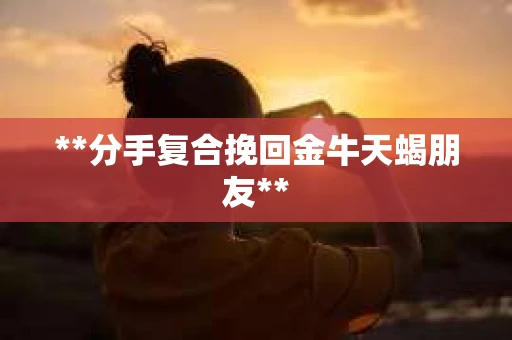 **分手复合挽回金牛天蝎朋友**