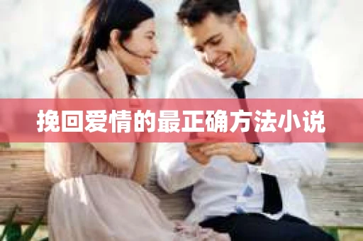 挽回爱情的最正确方法小说