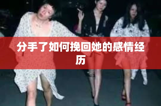 分手了如何挽回她的感情经历