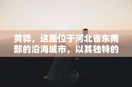 黄骅，这座位于河北省东南部的沿海城市，以其独特的地理位置和丰富的历史文化而闻名。然而，在这座城市中，还有一群人，他们以另一种方式默默守护着社会的公平与正义——私家侦探。今天，我们就来聊聊黄骅的私家侦探，看看他们是如何在这个城市中发挥作用的。