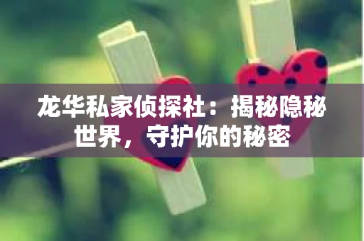 龙华私家侦探社：揭秘隐秘世界，守护你的秘密