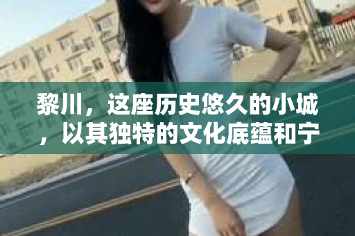 黎川，这座历史悠久的小城，以其独特的文化底蕴和宁静的生活节奏吸引着无数游客。然而，在这样一个看似平静的城市里，你是否会好奇，有没有私家侦探机构的存在呢？今天，就让我带你一探究竟。