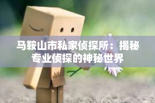 马鞍山市私家侦探所：揭秘专业侦探的神秘世界
