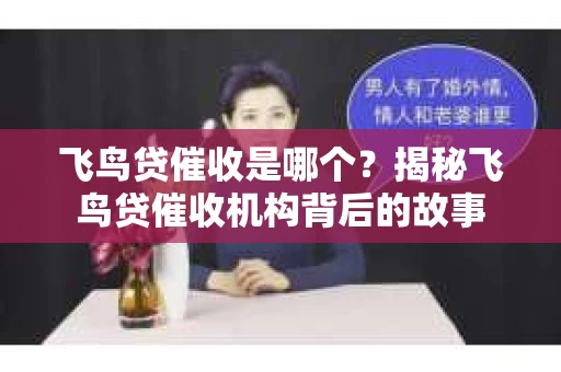 飞鸟贷催收是哪个？揭秘飞鸟贷催收机构背后的故事