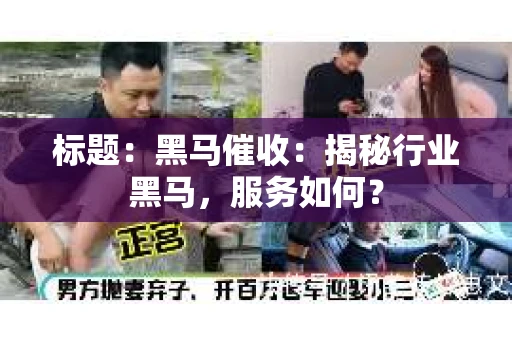 标题：黑马催收：揭秘行业黑马，服务如何？
