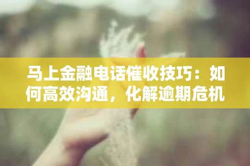 马上金融电话催收技巧：如何高效沟通，化解逾期危机