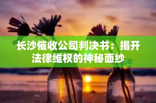 长沙催收公司判决书：揭开法律维权的神秘面纱