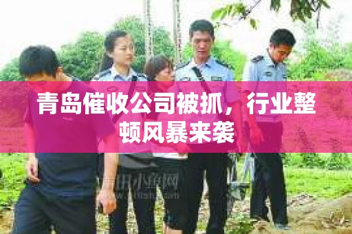 青岛催收公司被抓，行业整顿风暴来袭