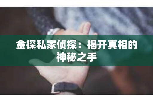 金探私家侦探：揭开真相的神秘之手