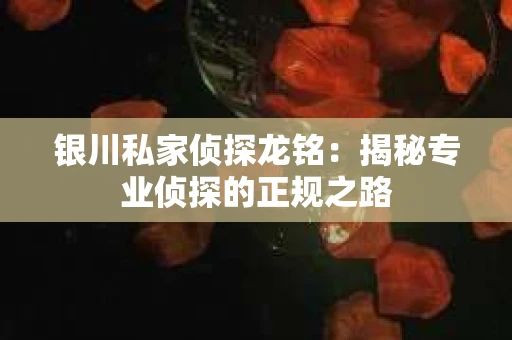 银川私家侦探龙铭：揭秘专业侦探的正规之路