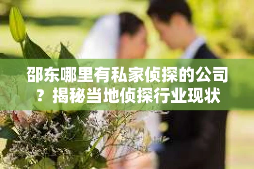 邵东哪里有私家侦探的公司？揭秘当地侦探行业现状