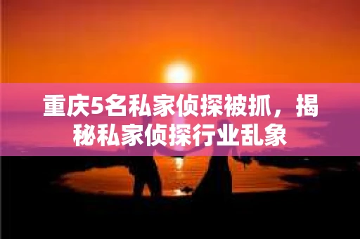 重庆5名私家侦探被抓，揭秘私家侦探行业乱象