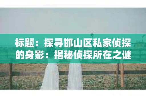 标题：探寻邯山区私家侦探的身影：揭秘侦探所在之谜