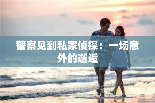 警察见到私家侦探：一场意外的邂逅