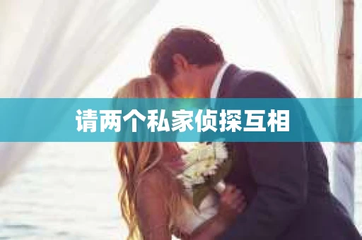 请两个私家侦探互相