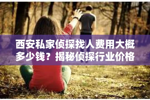 西安私家侦探找人费用大概多少钱？揭秘侦探行业价格之谜
