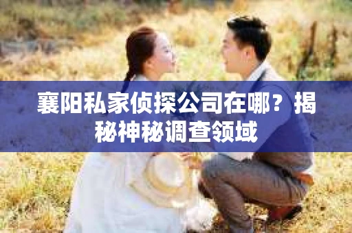 襄阳私家侦探公司在哪？揭秘神秘调查领域