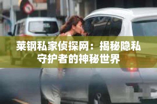 莱钢私家侦探网：揭秘隐私守护者的神秘世界