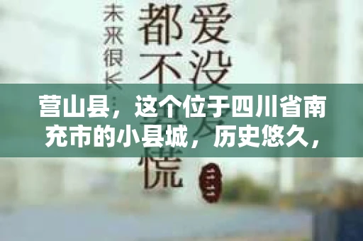 营山县，这个位于四川省南充市的小县城，历史悠久，风景秀丽。但在这个宁静的小县城里，你是否会好奇，有没有私家侦探的存在呢？今天，我就来和大家聊聊这个话题。