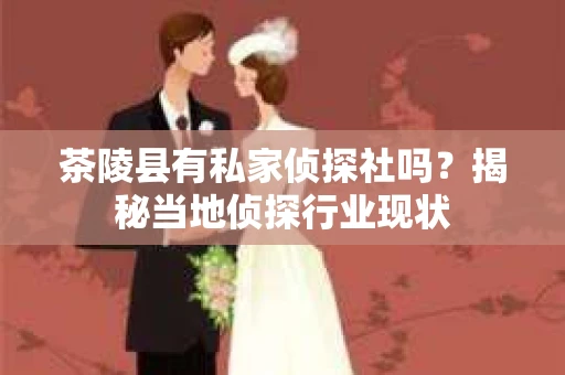 茶陵县有私家侦探社吗？揭秘当地侦探行业现状