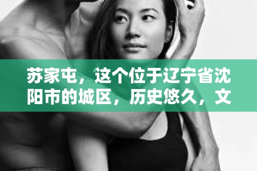 苏家屯，这个位于辽宁省沈阳市的城区，历史悠久，文化底蕴深厚。近年来，随着社会的发展，人们对于私家侦探的需求也逐渐增加。那么，苏家屯有私家侦探吗？今天，我们就来聊聊这个话题。