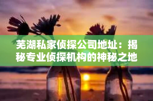 芜湖私家侦探公司地址：揭秘专业侦探机构的神秘之地