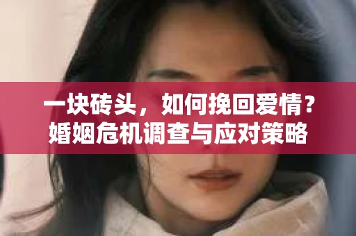 一块砖头，如何挽回爱情？婚姻危机调查与应对策略