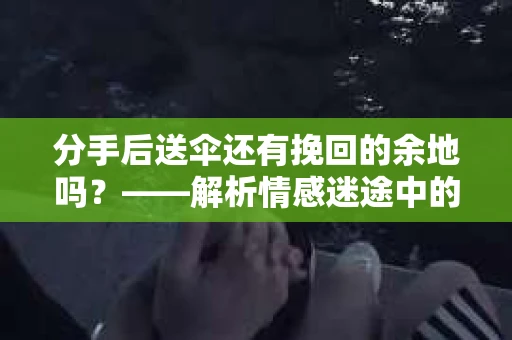 分手后送伞还有挽回的余地吗？——解析情感迷途中的决策