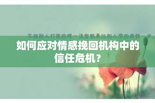 如何应对情感挽回机构中的信任危机？