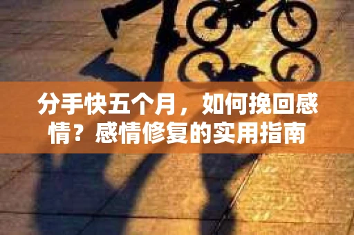 分手快五个月，如何挽回感情？感情修复的实用指南