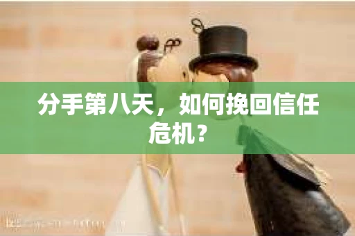 分手第八天，如何挽回信任危机？