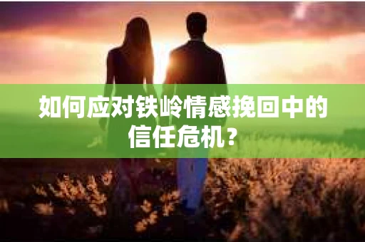如何应对铁岭情感挽回中的信任危机？