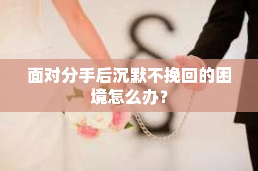 面对分手后沉默不挽回的困境怎么办？