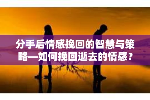 分手后情感挽回的智慧与策略—如何挽回逝去的情感？